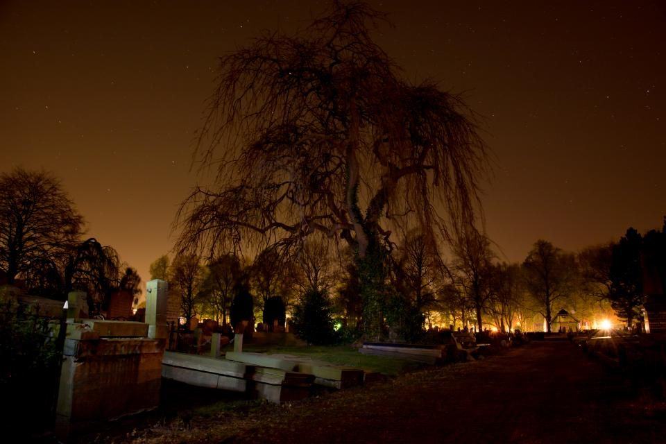 Quiet cemetery at dusk, representing the wrongful death claims Black Diamond Law pursues for families